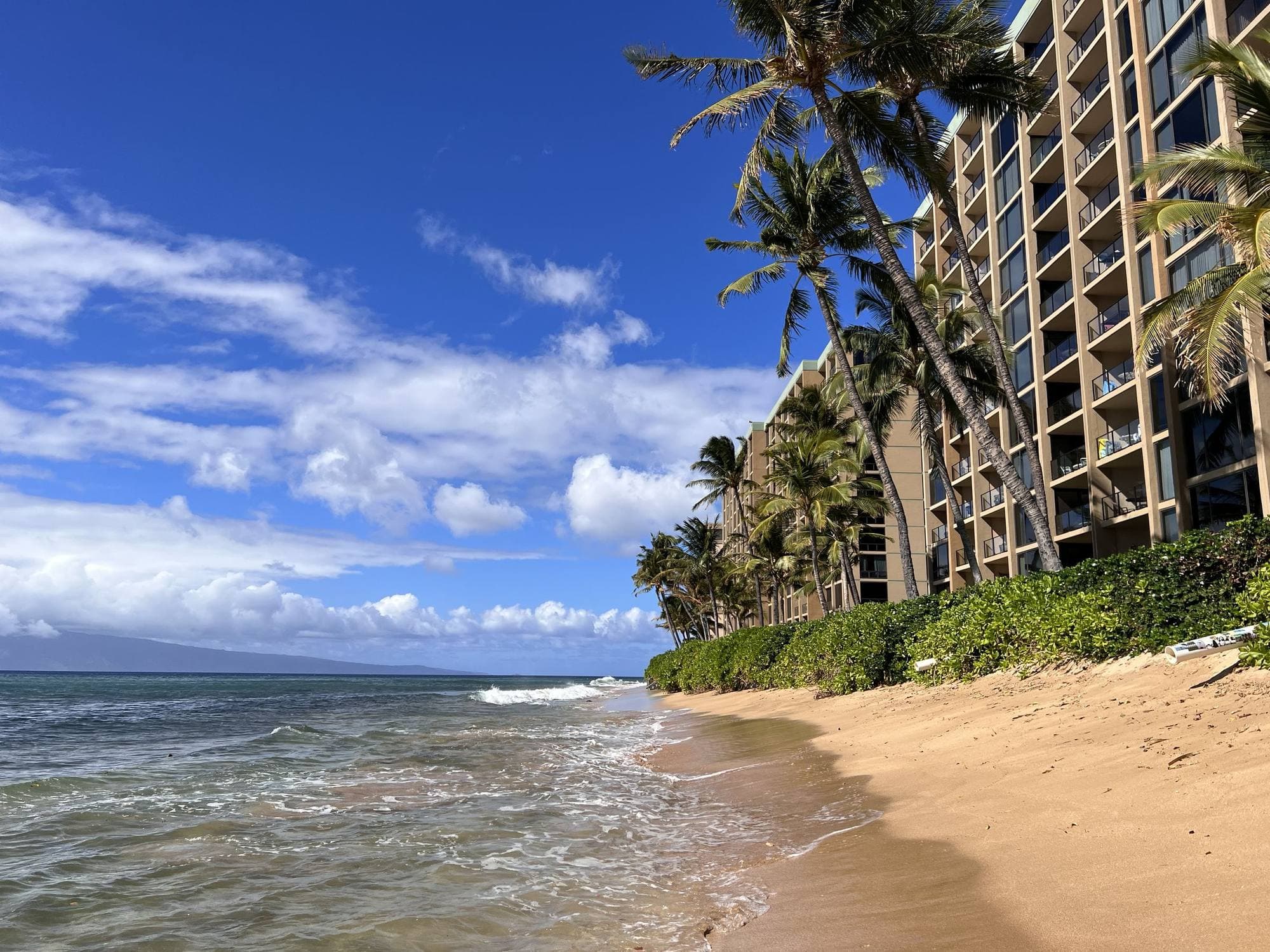 Palm-lined beach in front of The Mahana
